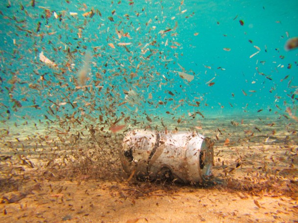 Rubbish on the sea bed. Petr Kratochvil